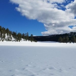 Meet your Posher, Cj